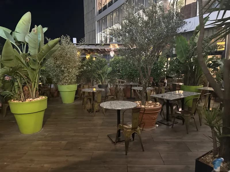 Tables de la terrasse entre les oliviers et les bananiers
